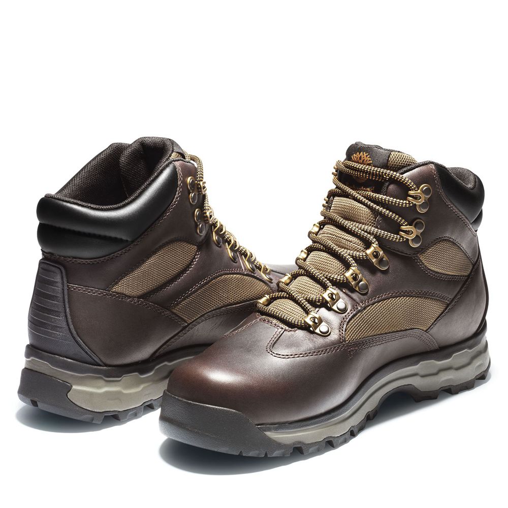 Bocanci De Drumeție Timberland Barbati Maro Inchis - Chocorua Trail 2.0 Waterproof - Romania - CLHFW